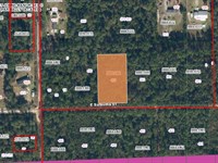 Invest Into Farm Life Just $345/Mo : Palatka : Putnam County : Florida