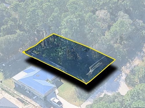 Paved Road Residential Lot : Lehigh Acres : Lee County : Florida