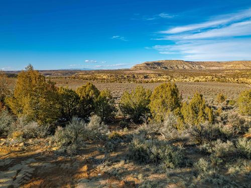 Close To Navajo Marina, Power : Blanco : Rio Arriba County : New Mexico