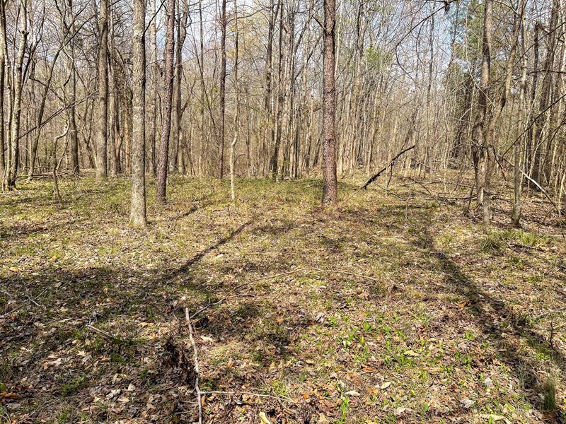 Holladay Road Acreage : Holladay : Decatur County : Tennessee