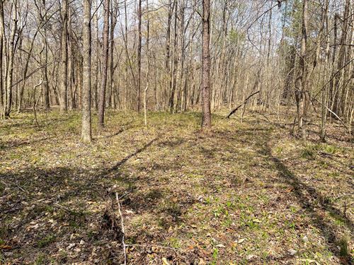Holladay Road Acreage : Holladay : Decatur County : Tennessee