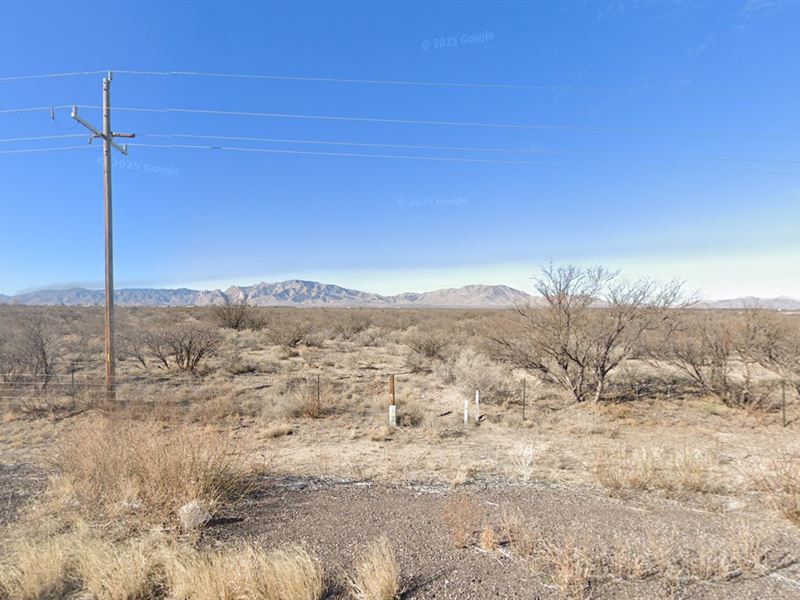 Tiny Desert Freedom Starts Here : Sunsites : Cochise County : Arizona
