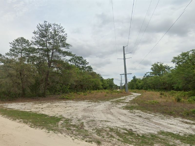 Buyers Smart Move Only $199 Down : Satsuma : Putnam County : Florida