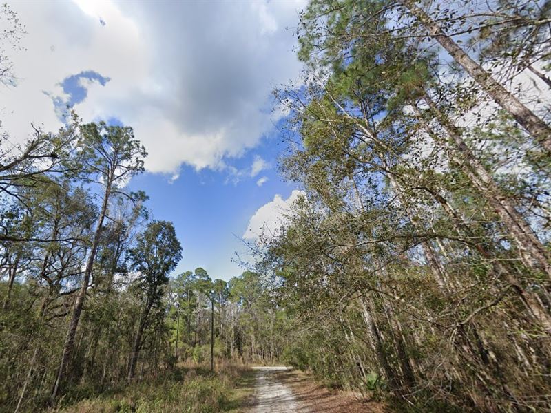 $199 Down for Real Estate Jackpot : Federal Point : Putnam County : Florida