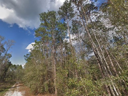 Smart Buy Just $199 Down : Federal Point : Putnam County : Florida