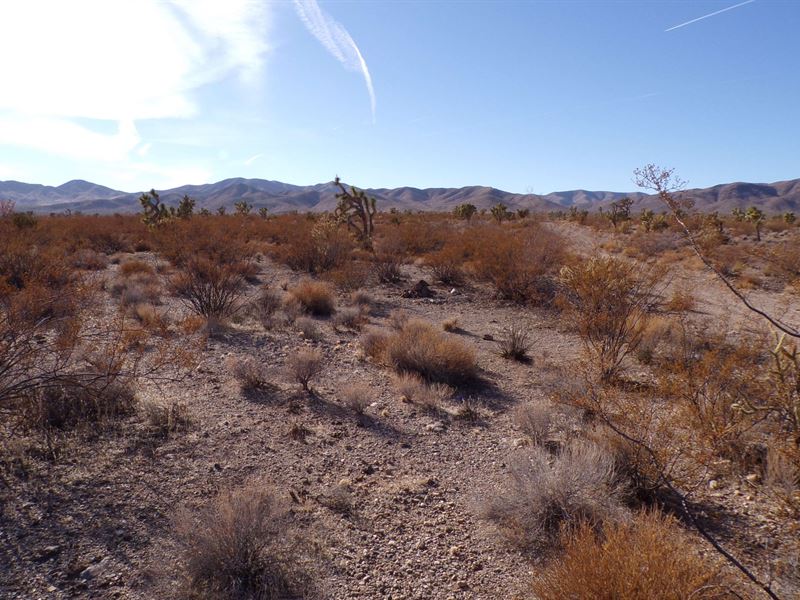 Arizona Land for Families, 1 Acre : Meadview : Mohave County : Arizona