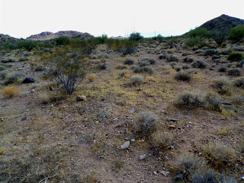 2.35 Acres Next to Wildlife Refuge : Yucca : Mohave County : Arizona