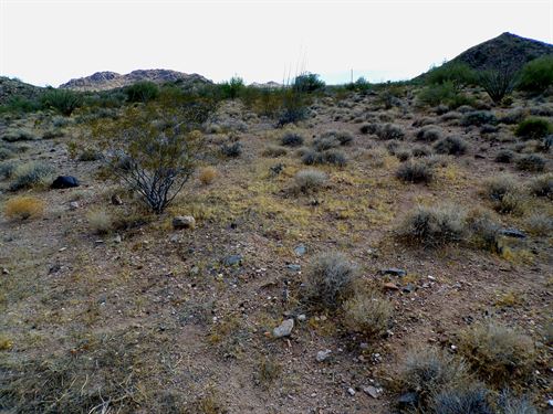 2.35 Acres Next to Wildlife Refuge : Yucca : Mohave County : Arizona