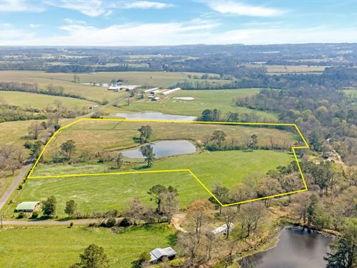 Hamrick 24 Acre Land : Boaz : Marshall County : Alabama