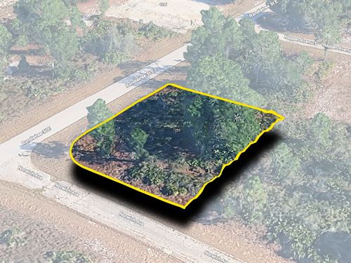 Corner Lot, Paved Road, Power Lines : Lehigh Acres : Lee County : Florida