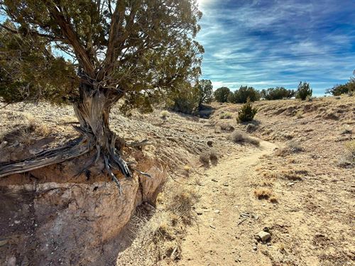 3.1 Acres in Sandoval County, NM : Algodones : Sandoval County : New Mexico