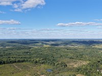 3.74 Acres Near State Game Lands PA : West Sunbury : Butler County : Pennsylvania