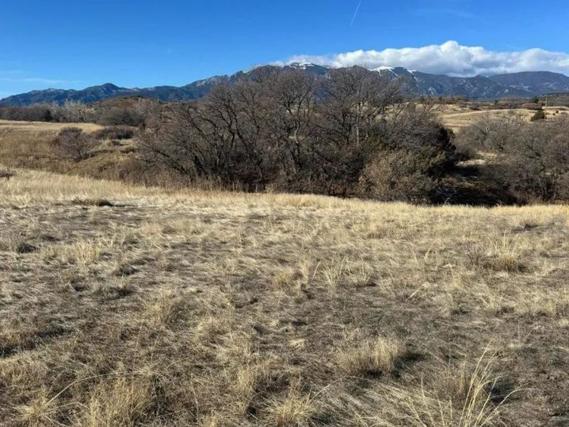 Morris 90, Colorado City, CO 8 : Colorado City : Pueblo County : Colorado