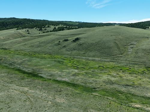 South Park Vista : Jefferson : Park County : Colorado
