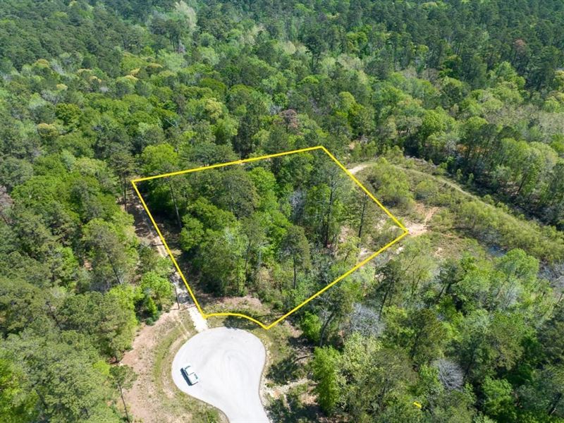 2 Acres, Sandstone Lane, Texas Gr : Huntsville : Walker County : Texas