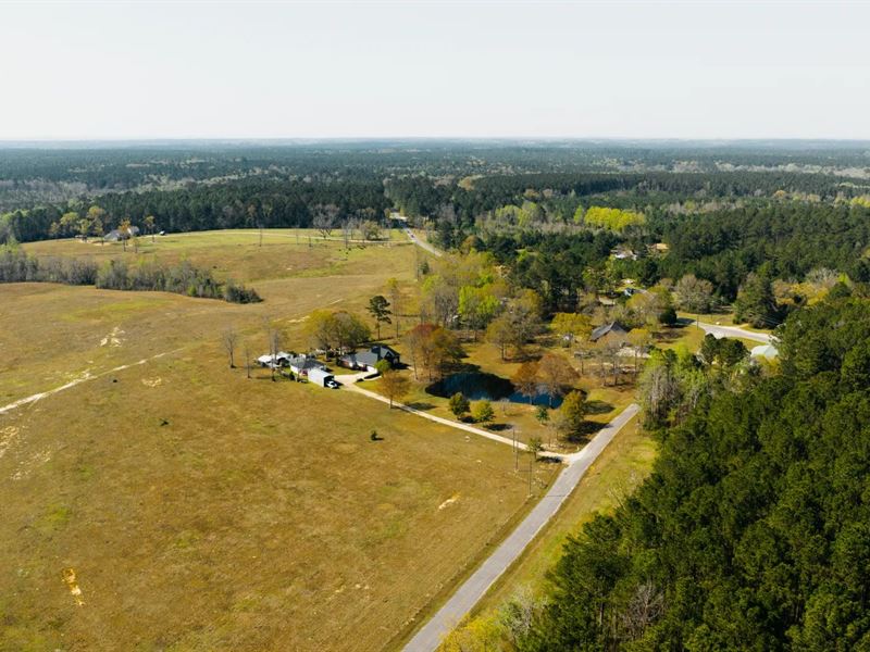 A Home on 3.1 Acres in Wayne County : Waynesboro : Wayne County : Mississippi