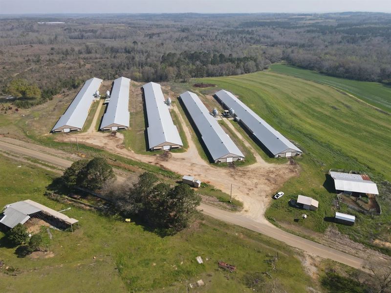 Little Judy Creek Broiler Farm : Ariton : Dale County : Alabama