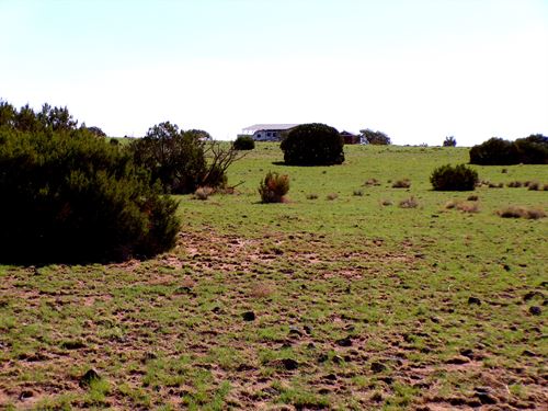 AZ Double Lot RV Setup Dual Access : Concho : Apache County : Arizona