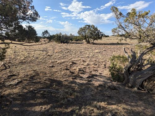 1.04 Acre AZ Land 398 Down Today : Concho : Apache County : Arizona