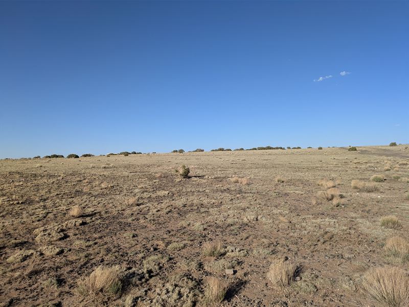 Concho AZ Acre Dual Road 149Mo : Concho : Apache County : Arizona