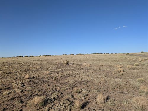 Concho AZ Acre Dual Road 149Mo : Concho : Apache County : Arizona