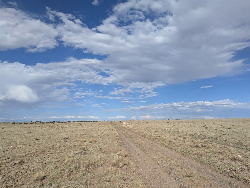 AZ Off Grid Acre 149Mo No HOA : Concho : Apache County : Arizona