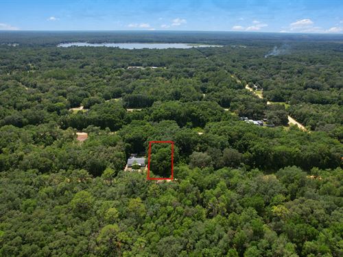FL Bass Country Lot 448 Down : Interlachen : Putnam County : Florida