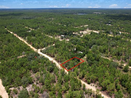 FL Home Lot 448 Down No Liens : Interlachen : Putnam County : Florida