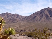 3 Acres Grand Canyon Owner Finance : Meadview : Mohave County : Arizona