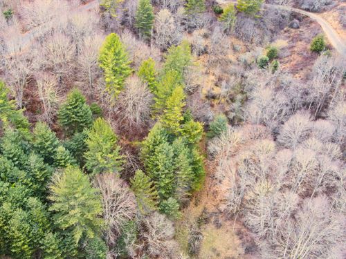 1.49 Acres Ashe NC Own Land : Grassy Creek : Ashe County : North Carolina