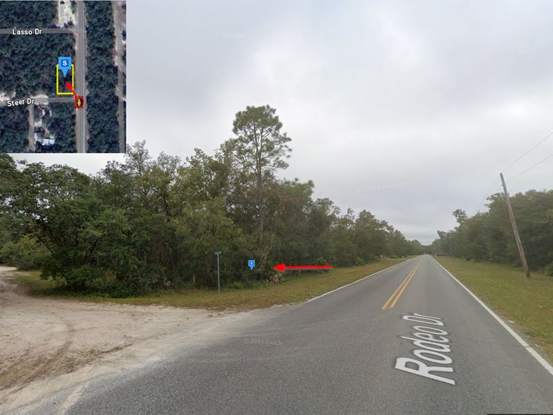 Lot on Paved Road, $150 Down : Interlachen : Putnam County : Florida