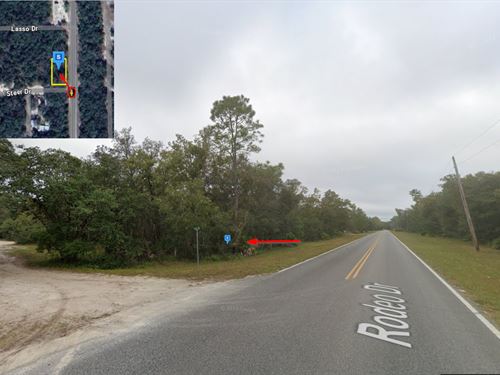 Lot on Paved Road, $150 Down : Interlachen : Putnam County : Florida