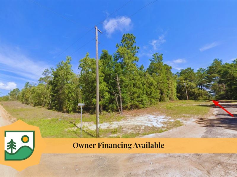 Near Lake Geneva, Keystone Heights : Keystone Heights : Clay County : Florida
