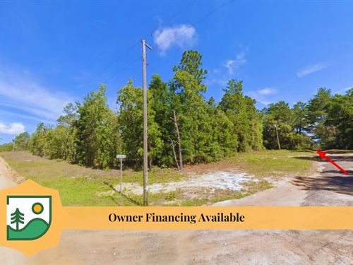 Near Lake Geneva, Keystone Heights : Keystone Heights : Clay County : Florida
