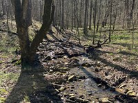 Hunters Dream 49 AC Dekalb Co : Collinsville : Dekalb County : Alabama