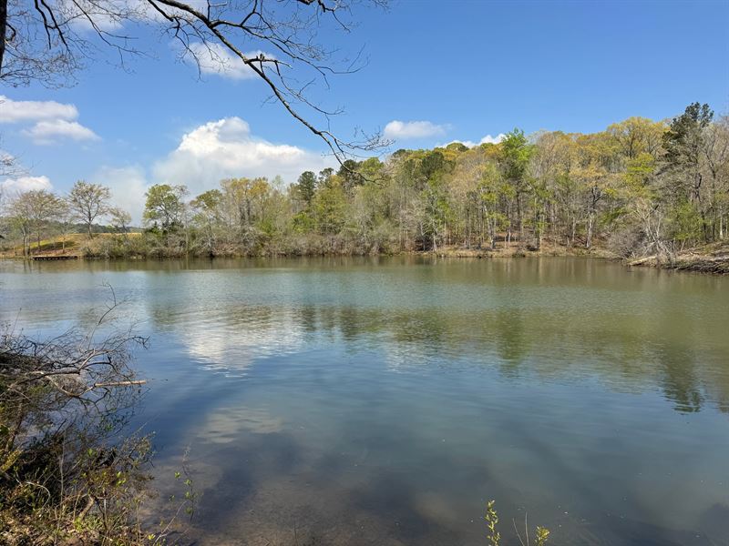 Stunning 1 Acre Lot on Yates Lak : Tallassee : Tallapoosa County : Alabama