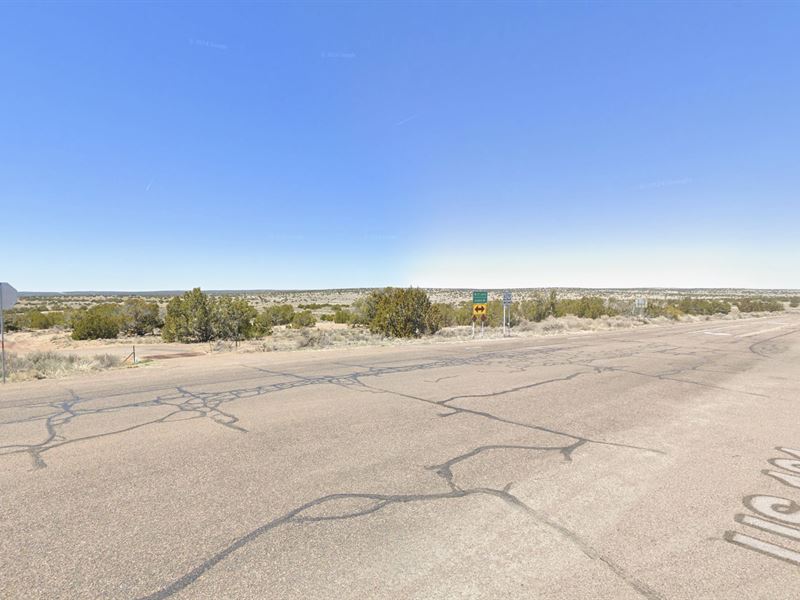 4 Acres Near St Johns Arizona AG : Sanders : Apache County : Arizona