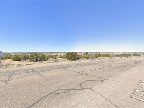 4 Acres Near St Johns Arizona AG : Sanders : Apache County : Arizona