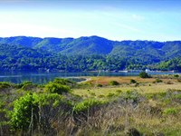 Rare Inverness Coastal Lot, 1.17 Ac : Inverness : Marin County : California