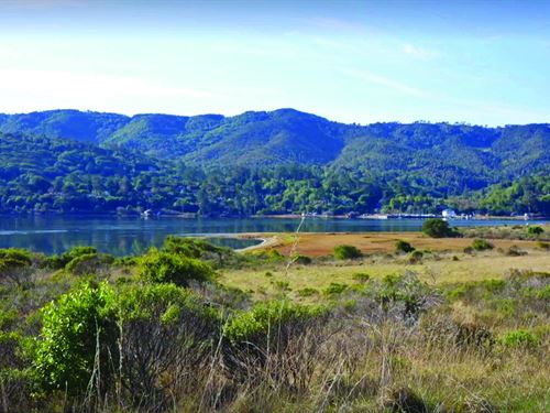 Rare Inverness Coastal Lot, 1.17 Ac : Inverness : Marin County : California