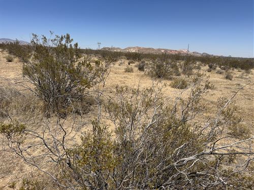 Prime Residential Lot in Rosamond : Rosamond : Kern County : California