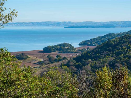 San Rafael Homesite, 0.20 Acres : San Rafael : Marin County : California