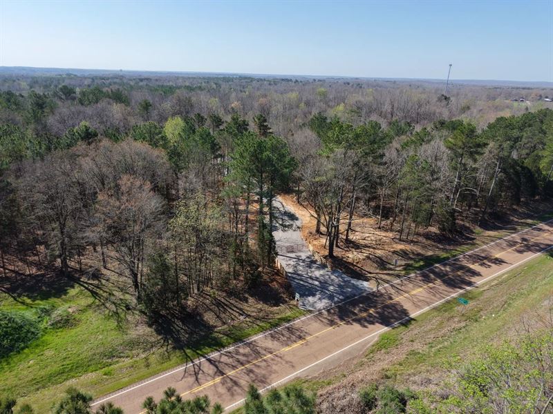 140 Acres with a Cabin in Hardeman : Toone : Hardeman County : Tennessee