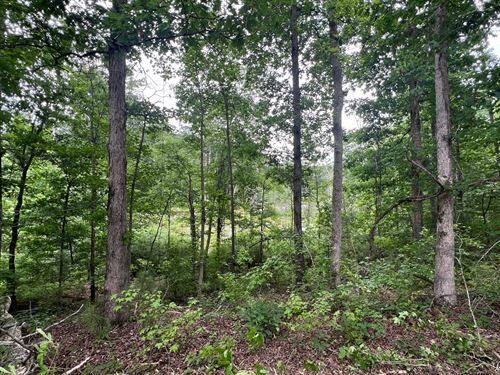 12 Ac Residential Lot in Coweta : Grantville : Coweta County : Georgia