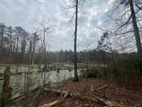 Residential Lot in Coweta County : Grantville : Coweta County : Georgia