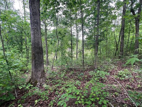 12 Ac Residential Lot in Coweta : Grantville : Coweta County : Georgia