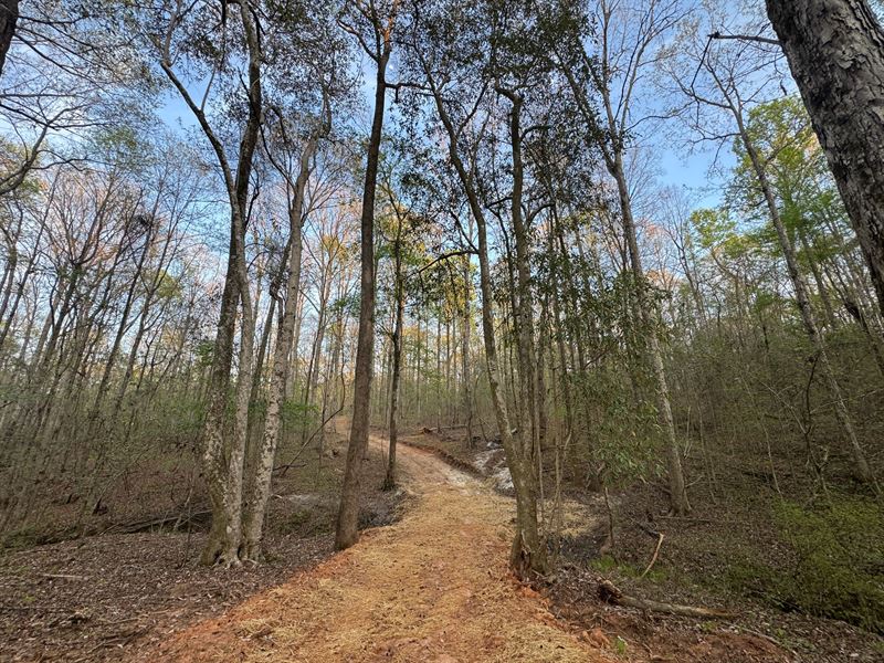25 Acres, Waverly, AL : Camp Hill : Tallapoosa County : Alabama