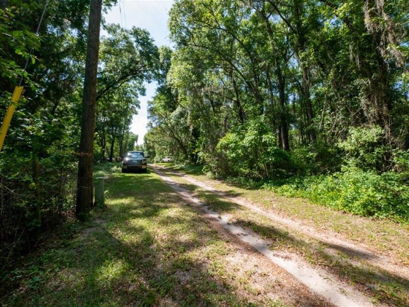 Your Florida Dream Can Come True he : Citra : Marion County : Florida