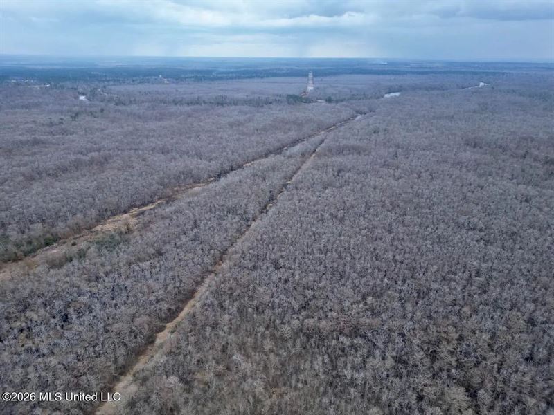 431 Acres with Calcasieu River Fro : Lake Charles : Calcasieu Parish : Louisiana