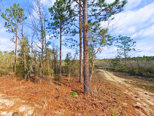 Deja LA Renta, $150 DE Enganche : Interlachen : Putnam County : Florida